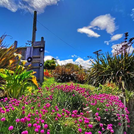 Breathtaking Sea View House叹为观止全海景别墅 Oamaru Exterior foto