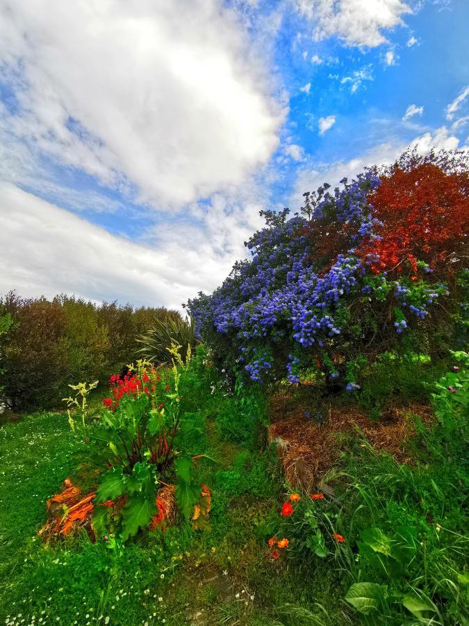 Breathtaking Sea View House叹为观止全海景别墅 Oamaru Exterior foto