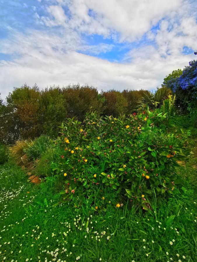 Breathtaking Sea View House叹为观止全海景别墅 Oamaru Exterior foto