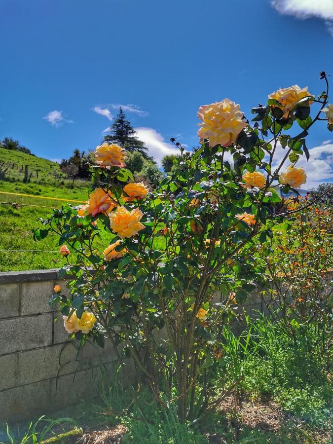 Breathtaking Sea View House叹为观止全海景别墅 Oamaru Exterior foto