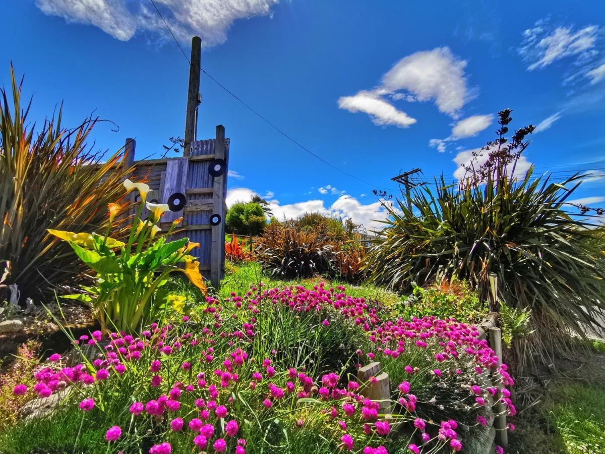 Breathtaking Sea View House叹为观止全海景别墅 Oamaru Exterior foto